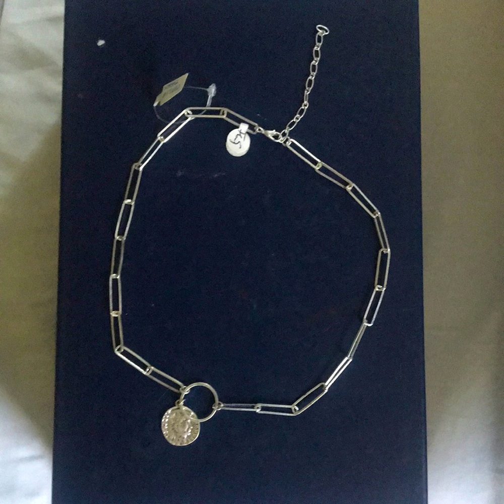 Ceasar coin necklace